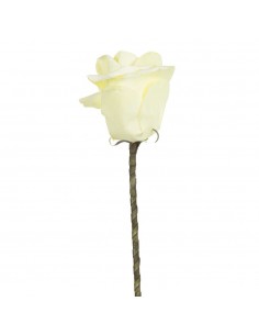 FIORE WEDDING ROSA PANNA 76 CM 2