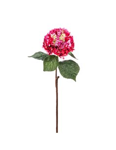 Ortensia Fucsia | H 90 Cm 2