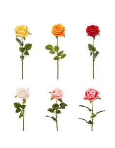 Rosa Artificiale in Velluto Assortita | H 72 cm (24 PZ) 2