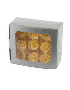 Rosa Preservata Petite Beige | Diam 3,5 Cm (9 PZ) 2