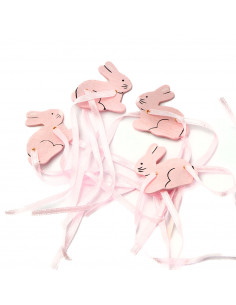 Applicazione Coniglietto... 2