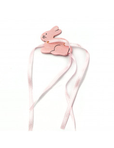 Applicazione Coniglietto... 2