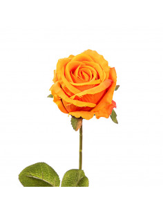 Rosa Artificiale in Velluto Assortita | H 72 cm (24 PZ) 2