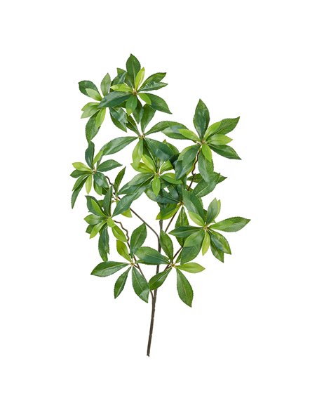 Ramo Foglia Alloro|H 65 Cm                              
