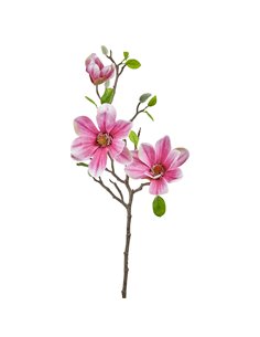 Tralcio Magnolia Fucsia|H... 2