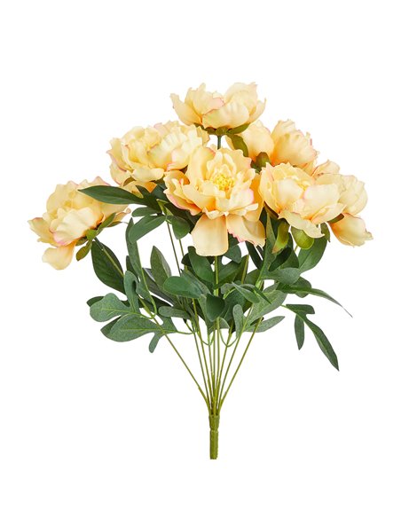 Bush Peonie Giallo|H 50 Cm