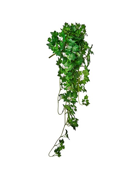Cascante Mini Edera H 95 Cm                   