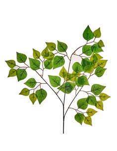Fogliame Betulla H 70 Cm 2