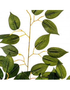 Ramo Foglia Ficus|H 56 Cm 2