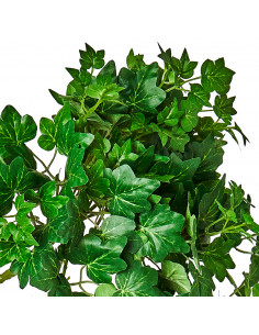 Cascante Mini Edera H 95 Cm 2