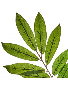 Fogliame Mango H 70 Cm 2