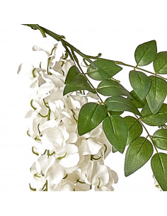 Ramo Glicine Artificiale... 2