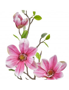 Tralcio Magnolia Fucsia|H... 2