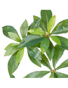 Ramo Foglia Alloro|H 65 Cm 2