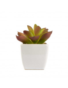 Piantina Grassa Arrtificiale in Vaso 6 Assortite | H 9 Cm 2