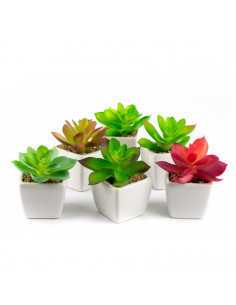 Piantina Grassa Arrtificiale in Vaso 6 Assortite | H 9 Cm 2