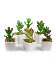 Bomboniera Piantina Grassa Artificiale Con Vaso Bianco 6 Assortite | H 9 Cm 2
