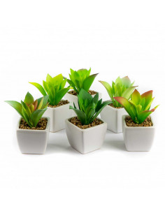 Piantina Grassa Artificiale Succulenta 6 Assortite | H 9 Cm 2