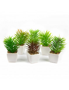 Bomboniera Pianta Grassa Artificiale Con Vasetto Bianco 6 Assortite | H 13 Cm 2