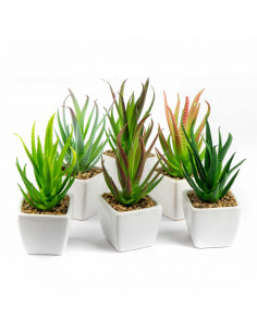 Piantina Grassa Artificiale Aloe Vera 6 Assortite | H 13 Cm 2