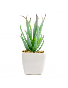 Piantina Grassa Artificiale Aloe Vera 6 Assortite | H 13 Cm 2