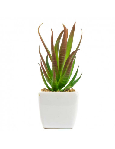 Piantina Grassa Artificiale Aloe Vera | Denaro Distribuzione