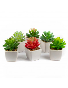 Bomboniera Pianta Grassa Artificiale In Vaso 6 Assortite | H 9 Cm 2