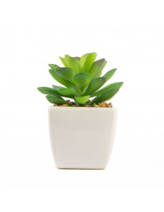 Bomboniera Pianta Grassa Artificiale In Vaso 6 Assortite | H 9 Cm 2