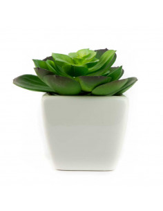 Piantina Grassa Succulenta Artificiale in Vaso 6 Assortite | H 12 Cm 2