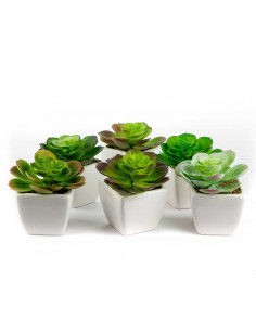 Piantina Grassa Succulenta Artificiale in Vaso 6 Assortite | H 12 Cm 2