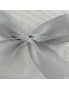 Sacchetto Pochette Lurex Argento (10 PZ) 2