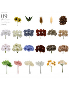 Collezione N. 09/2025... 2