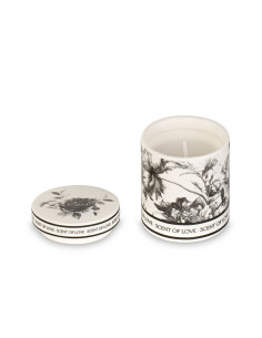 Candela Con Barattolo In... 2