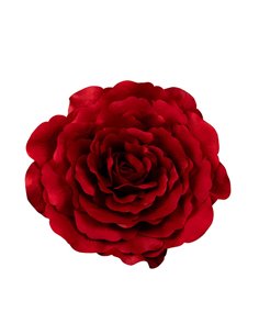 Camelia Rosso Con Gancio Diam. 45 Cm  2