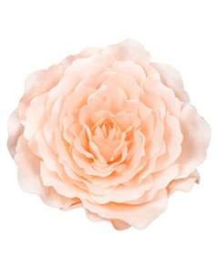 Camelia Rosa Con Gancio Diam. 55 Cm  2