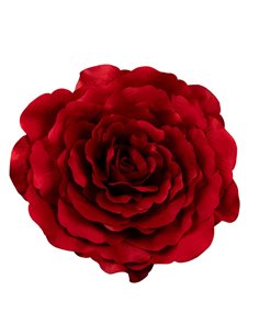 Camelia Rossa Con Gancio Diam. 55 Cm  2