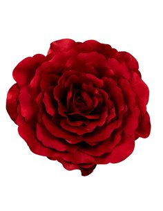 Camelia Rossa Con Gancio Diam. 70 Cm 2