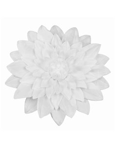 Dalia Bianca Con Gancio Diam. 50 Cm  2