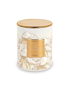 Candela Trees Avorio Con Box H 8 Cm 2