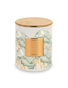 Candela Trees Verde Con Box D 6 X H 8 Cm 2