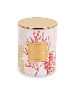 Candela Corallo Rosso Con Scatola D 6 X H 8 Cm 2