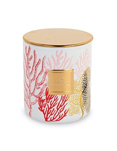 Candela Corallo Rosso Con Scatola D 9 X H 10 Cm  2