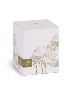 Apribottiglie Trees Con Scatola  2