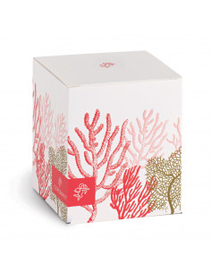 Diffusore Ambiente Corallo Rosso 100 ML Con Scatola  2