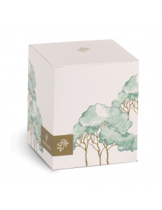 Diffusore Trees Verde 400 ML Con Box 2