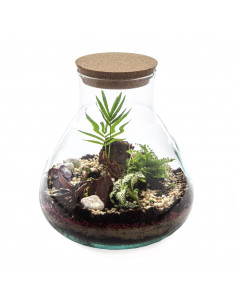 Terrarium In Vetro Di... 2