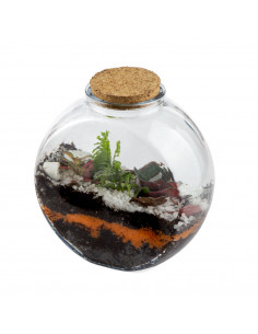 Terrarium Ovale Vetro... 2