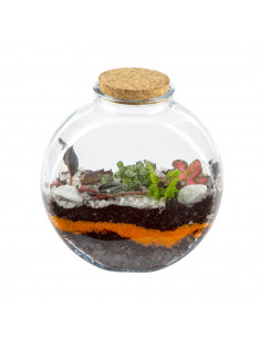 Terrarium Ovale Vetro... 2