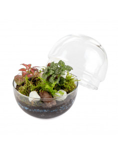 Bomboniera Terrarium Mini... 2