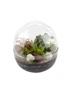 Bomboniera Terrarium Mini... 2